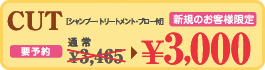 �V�K�̂��q�l����@�J�b�g3,000�~�y��������E�v�\��z